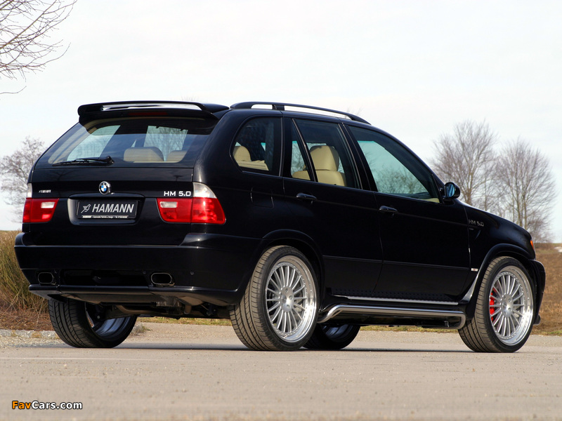 Photos of Hamann BMW X5 (E53) 2000–03 (800 x 600)