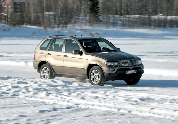 Photos of BMW X5 4.4i (E53) 2003–07