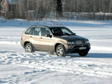 Photos of BMW X5 4.4i (E53) 2003–07