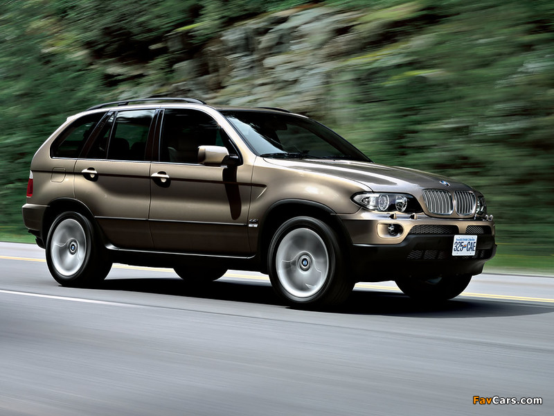 Photos of BMW X5 4.4i (E53) 2003–07 (800 x 600)