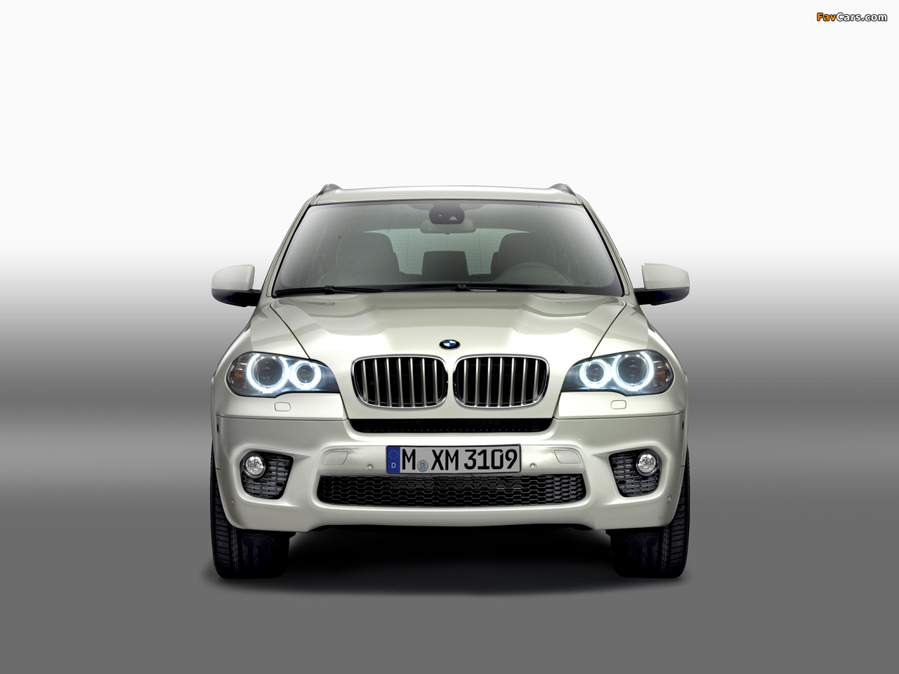Photos of BMW X5 xDrive50i M Sports Package (E70) 2010 (1280 x 960)