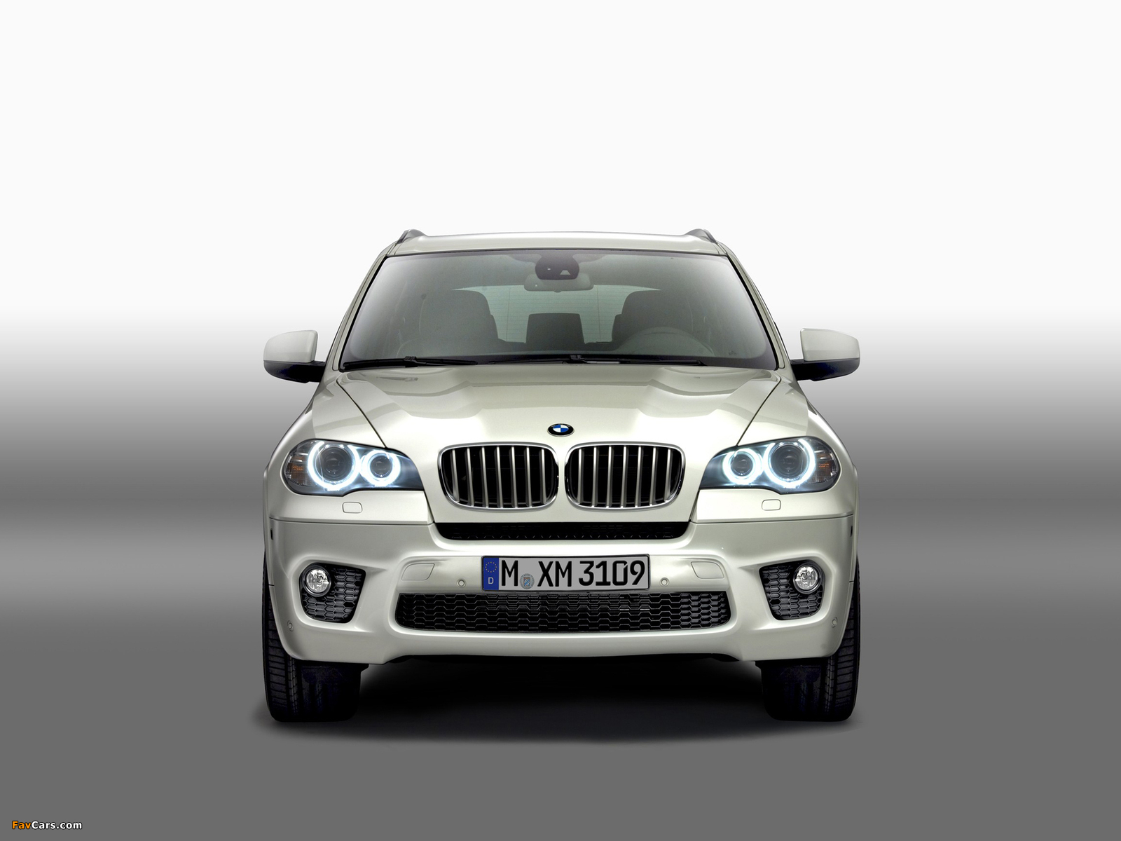 Photos of BMW X5 xDrive50i M Sports Package (E70) 2010 (1600 x 1200)