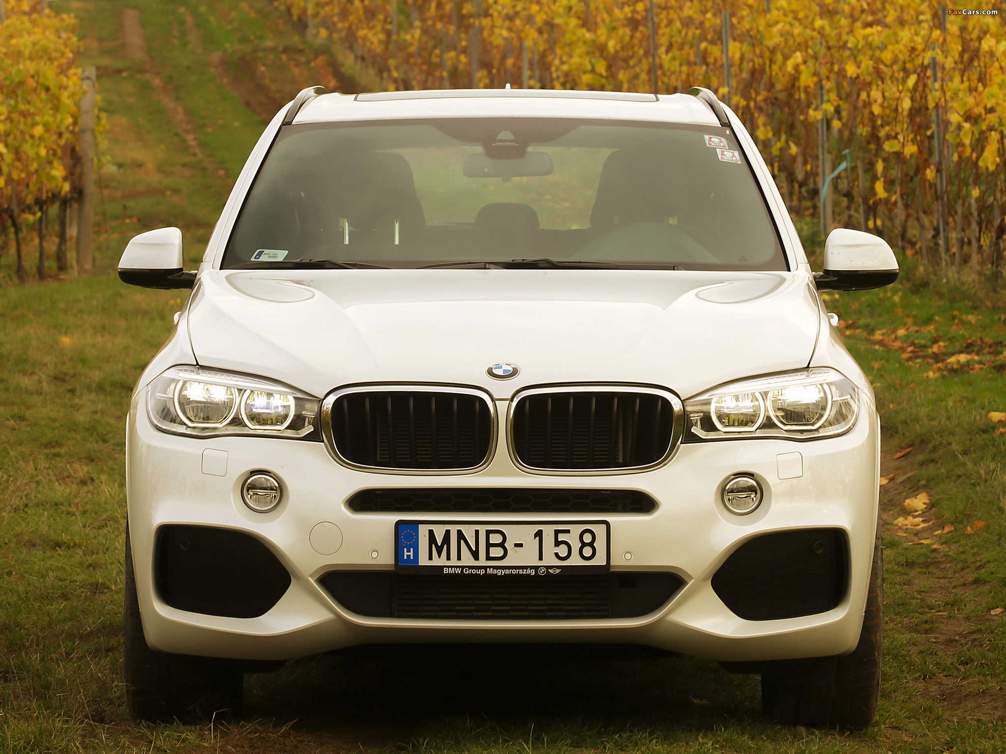Photos of BMW X5 xDrive30d M Sport Package (F15) 2013 (2048 x 1536)