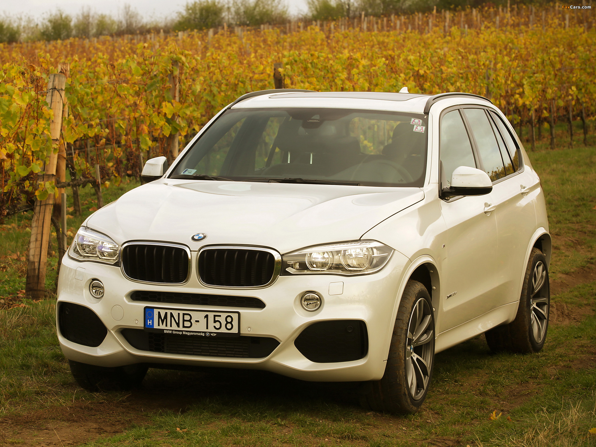 Photos of BMW X5 xDrive30d M Sport Package (F15) 2013 (2048 x 1536)