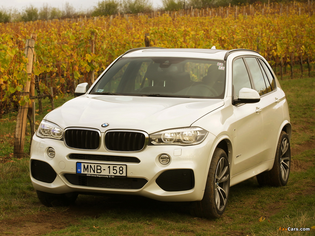 Photos of BMW X5 xDrive30d M Sport Package (F15) 2013 (1024 x 768)