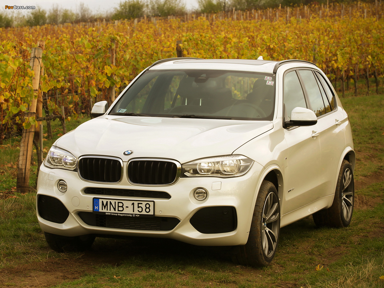 Photos of BMW X5 xDrive30d M Sport Package (F15) 2013 (1280 x 960)