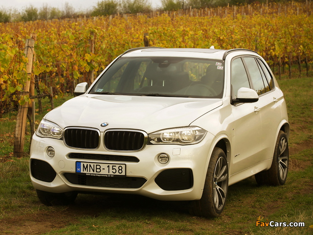 Photos of BMW X5 xDrive30d M Sport Package (F15) 2013 (640 x 480)