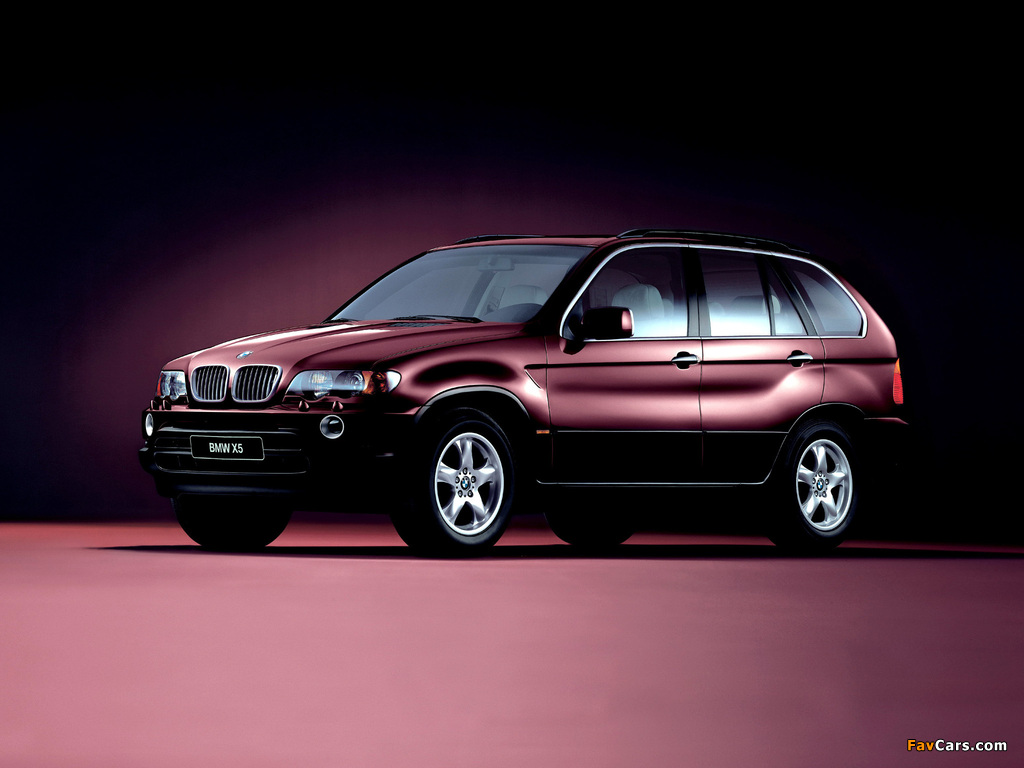 Pictures of BMW X5 3.0i (E53) 2000–03 (1024 x 768)