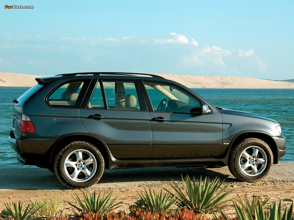 Pictures of BMW X5 3.0d (E53) 2001–03 (1024 x 768)