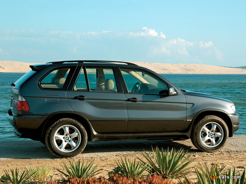 Pictures of BMW X5 3.0d (E53) 2001–03 (800 x 600)