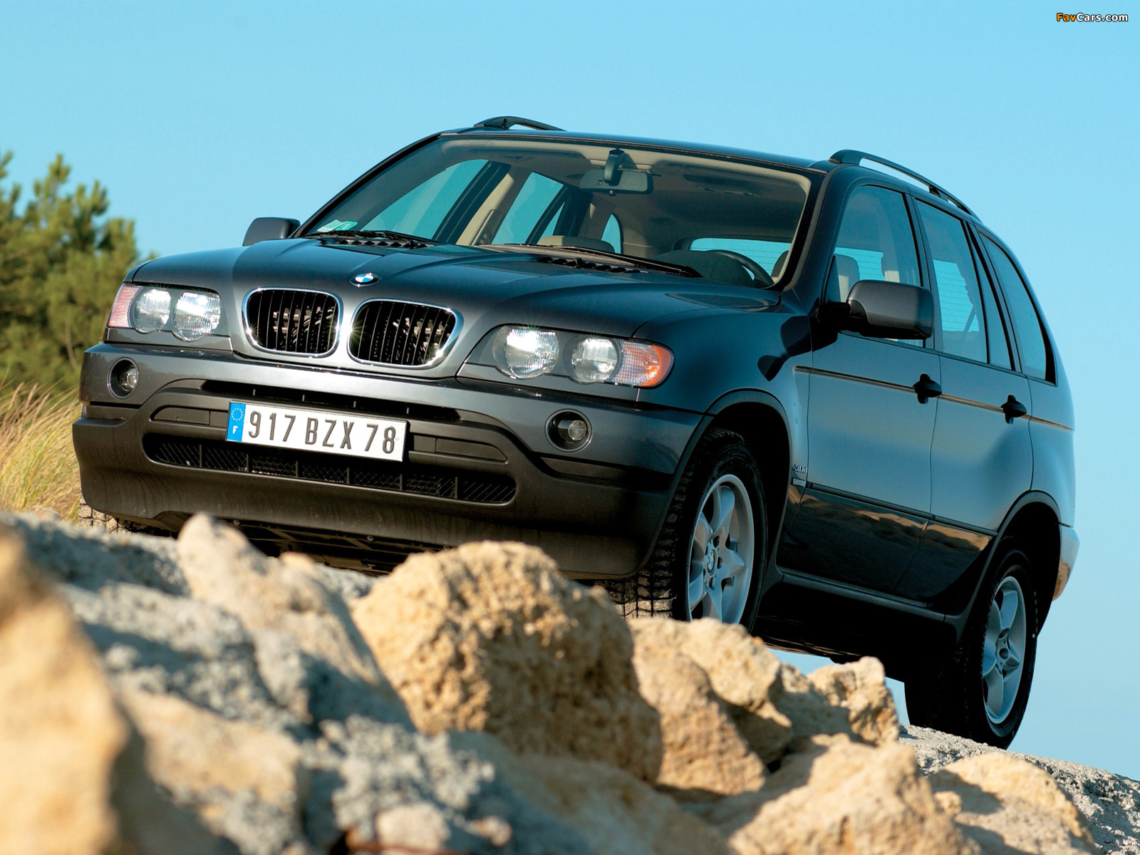 Pictures of BMW X5 3.0d (E53) 2001–03 (1600 x 1200)