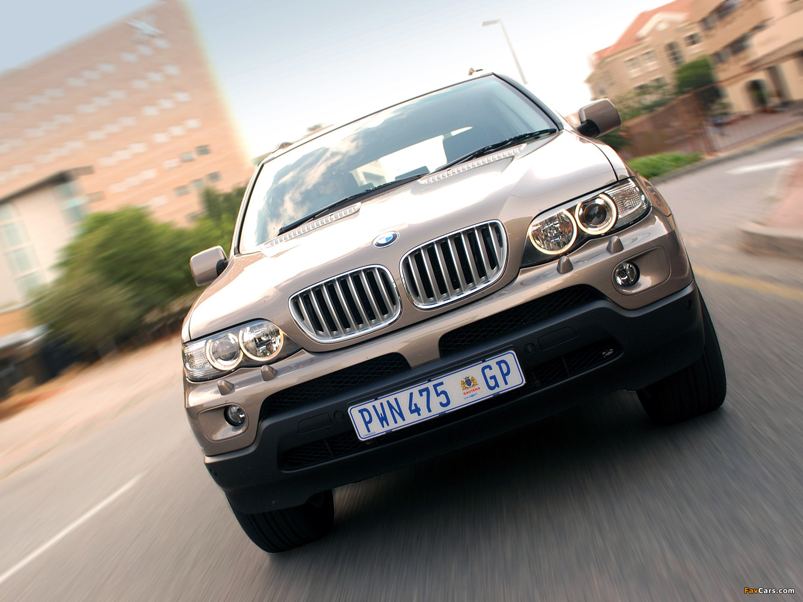 Pictures of BMW X5 4.4i ZA-spec (E53) 2003–07 (1600 x 1200)