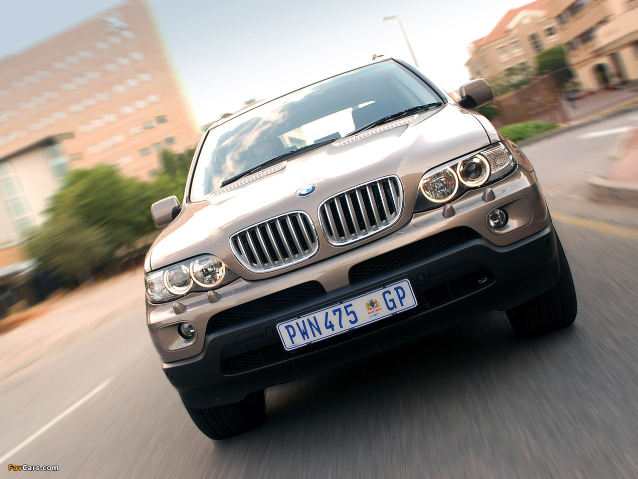 Pictures of BMW X5 4.4i ZA-spec (E53) 2003–07 (1280 x 960)