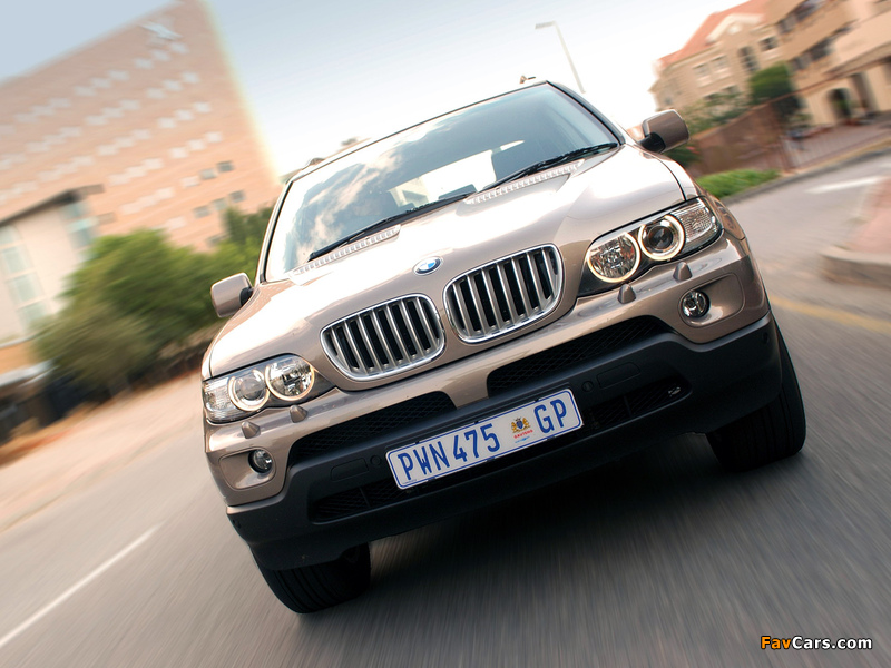 Pictures of BMW X5 4.4i ZA-spec (E53) 2003–07 (800 x 600)