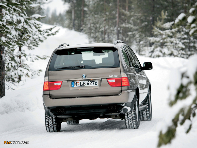 Pictures of BMW X5 4.4i (E53) 2003–07 (800 x 600)