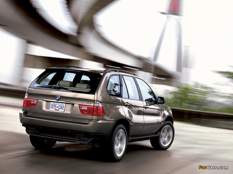 Pictures of BMW X5 4.4i (E53) 2003–07 (800 x 600)