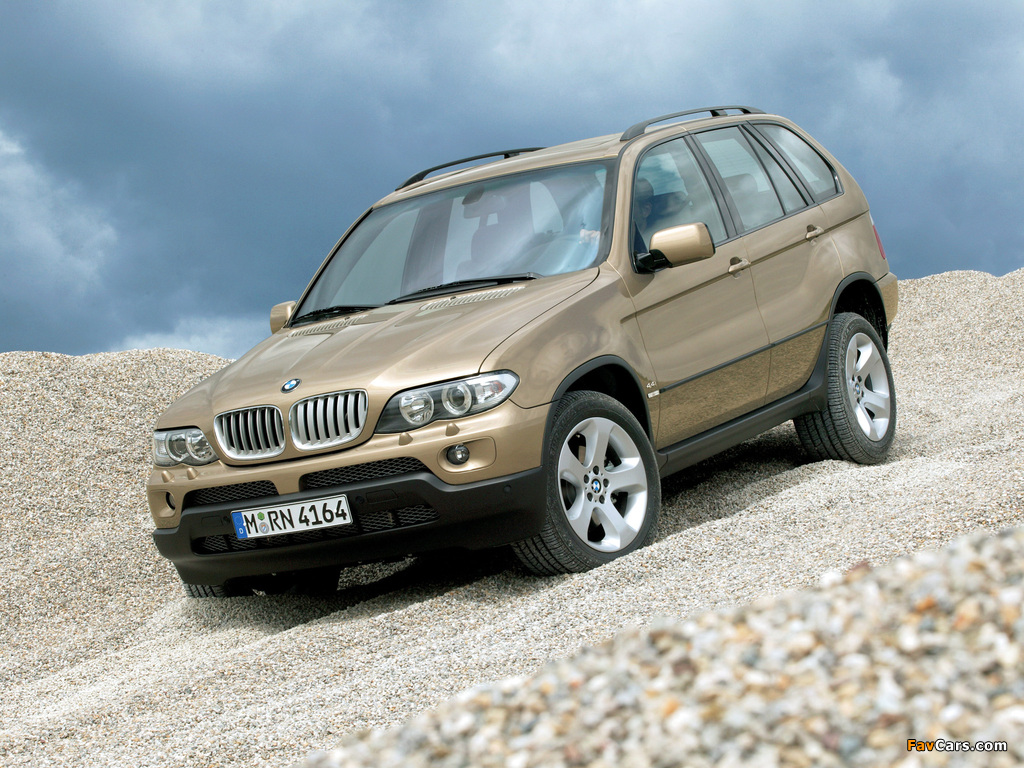 Pictures of BMW X5 4.4i (E53) 2003–07 (1024 x 768)