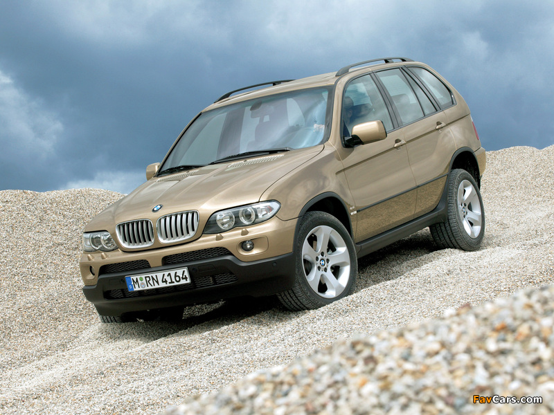 Pictures of BMW X5 4.4i (E53) 2003–07 (800 x 600)
