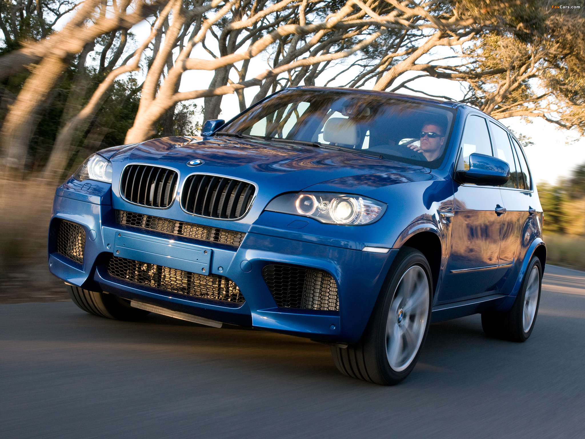 Pictures of BMW X5 M (E70) 2009 (2048 x 1536)