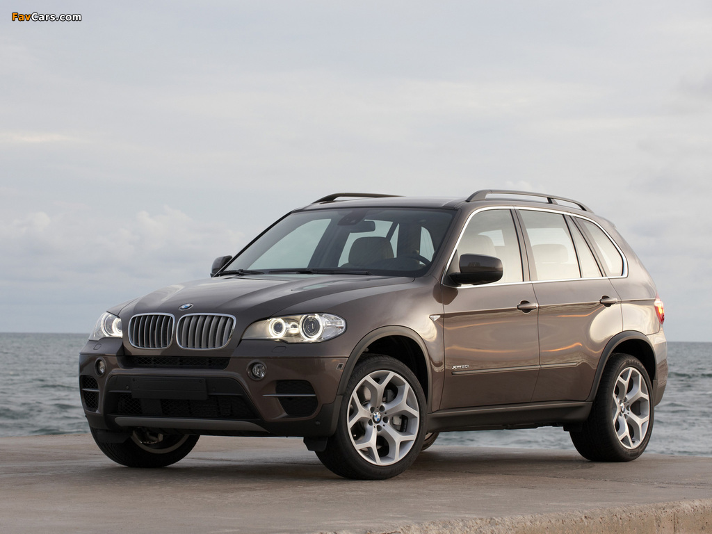 Pictures of BMW X5 xDrive50i (E70) 2010 (1024 x 768)