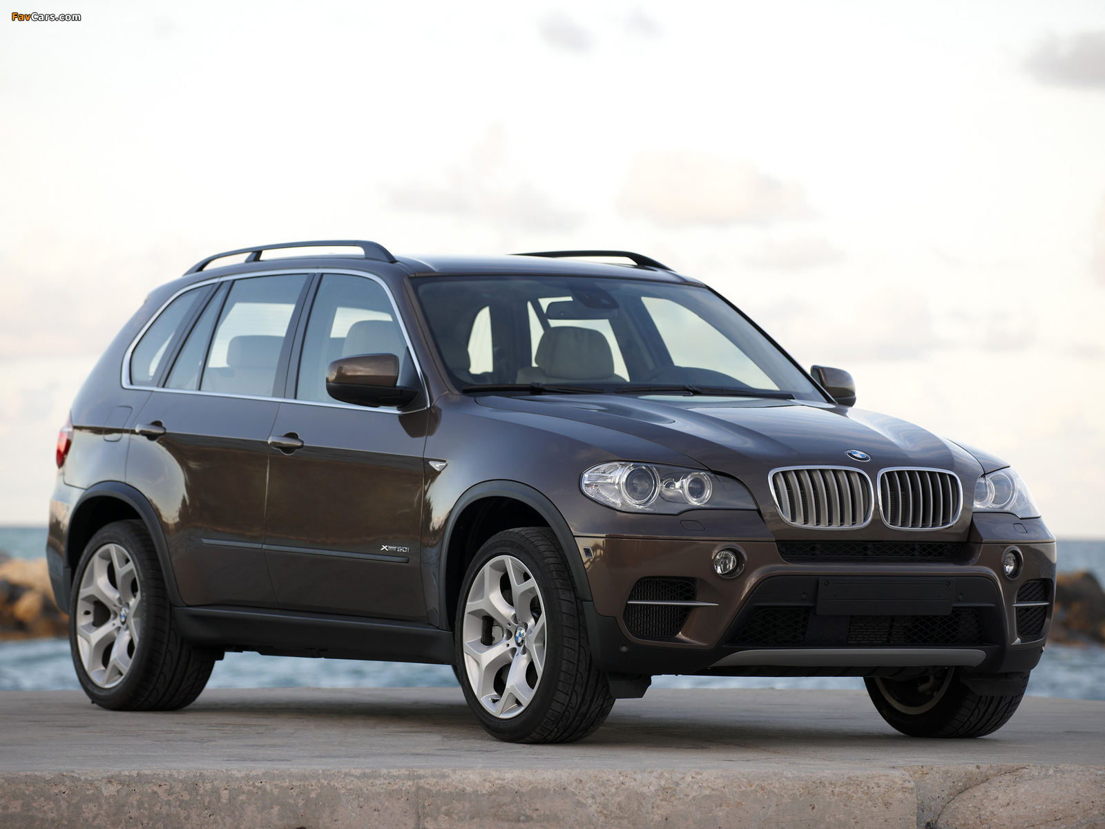 Pictures of BMW X5 xDrive50i (E70) 2010 (1600 x 1200)