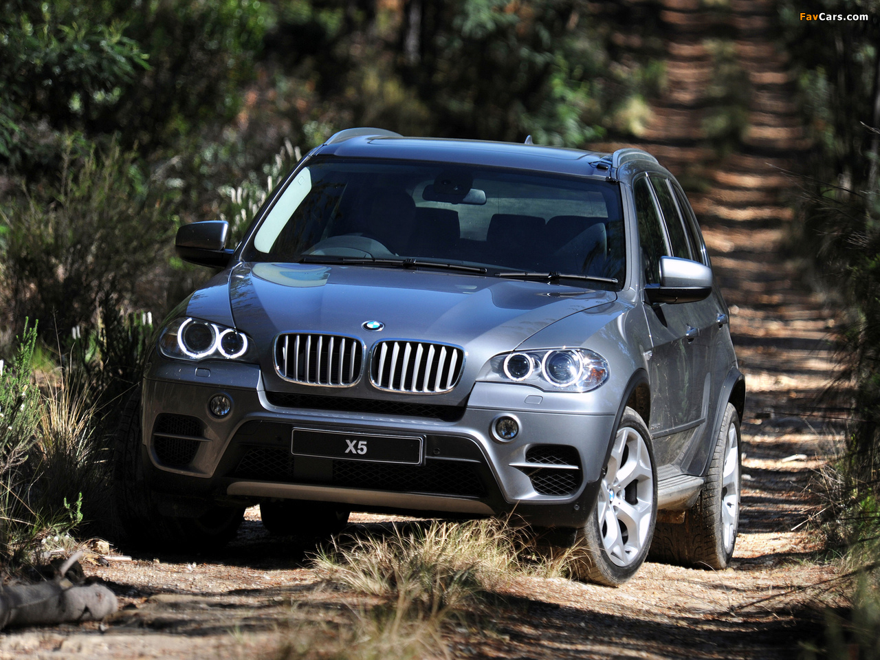 Pictures of BMW X5 xDrive50i ZA-spec (E70) 2010 (1280 x 960)