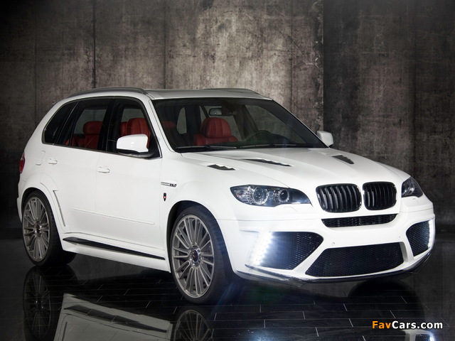 Pictures of Mansory BMW X5 (E70) 2010 (640 x 480)