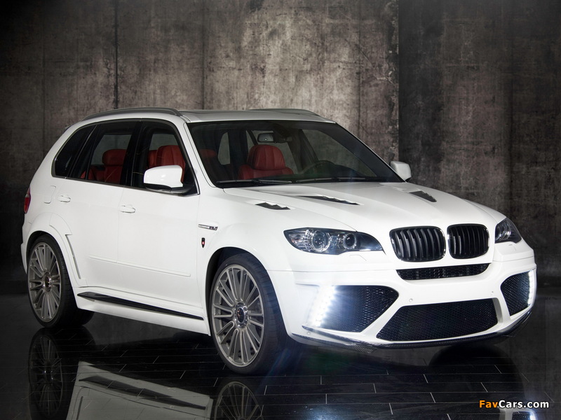 Pictures of Mansory BMW X5 (E70) 2010 (800 x 600)