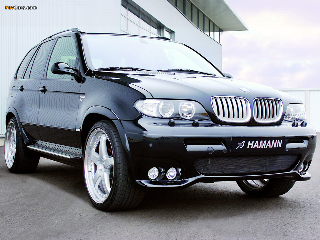 Hamann BMW X5 (E53) 2003–07 wallpapers (1024 x 768)