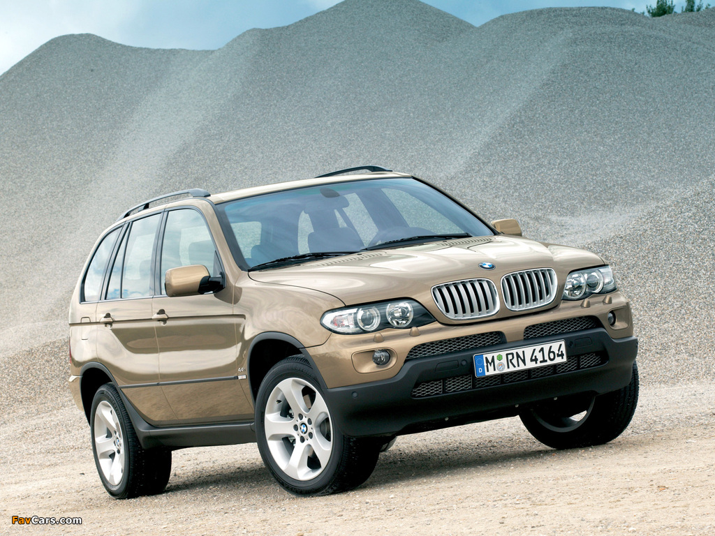 BMW X5 4.4i (E53) 2003–07 wallpapers (1024 x 768)