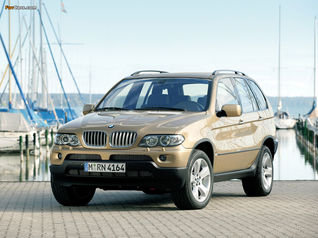 BMW X5 4.4i (E53) 2003–07 wallpapers (1024 x 768)