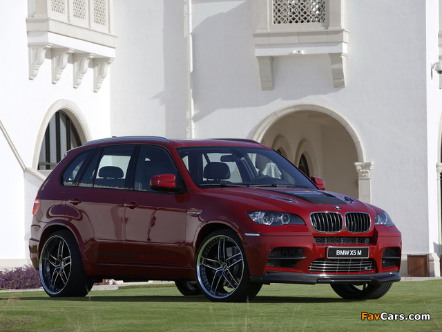 AC Schnitzer ACS5 Falcon Sport (E70) 2010 wallpapers (640 x 480)