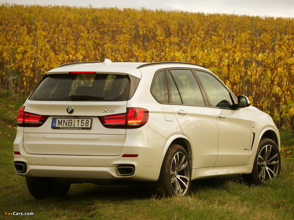 BMW X5 xDrive30d M Sport Package (F15) 2013 wallpapers (1024 x 768)