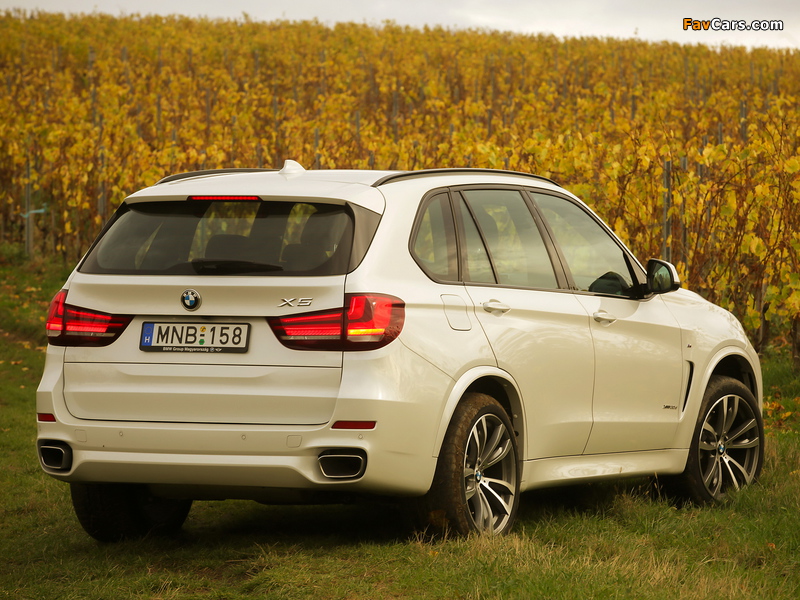 BMW X5 xDrive30d M Sport Package (F15) 2013 wallpapers (800 x 600)