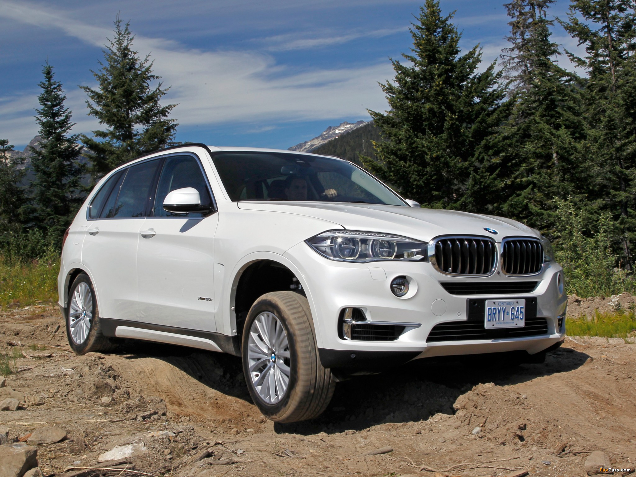 BMW X5 xDrive50i (F15) 2013 wallpapers (2048 x 1536)