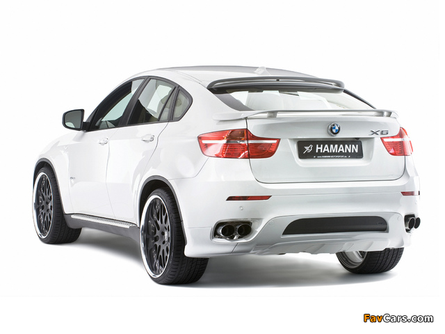 Hamann BMW X6 (E71) 2008 images (640 x 480)