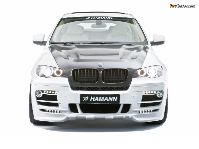 Hamann BMW X6 (E71) 2008 images (800 x 600)