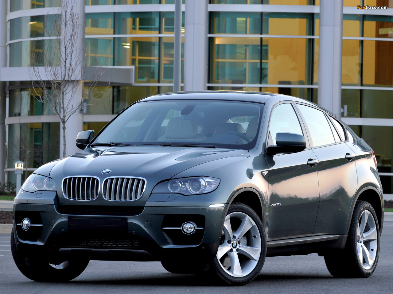 BMW X6 xDrive35d (71) 2008 pictures (1280 x 960)