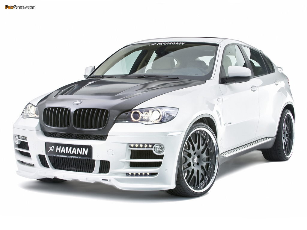Hamann BMW X6 (E71) 2008 pictures (1024 x 768)