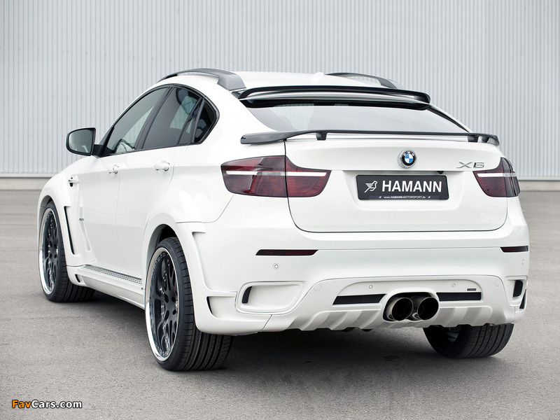 Hamann Tycoon EVO (E71) 2009 images (800 x 600)