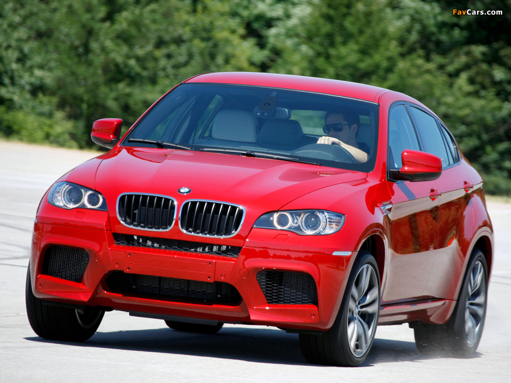 BMW X6 M (E71) 2009 images (1024 x 768)