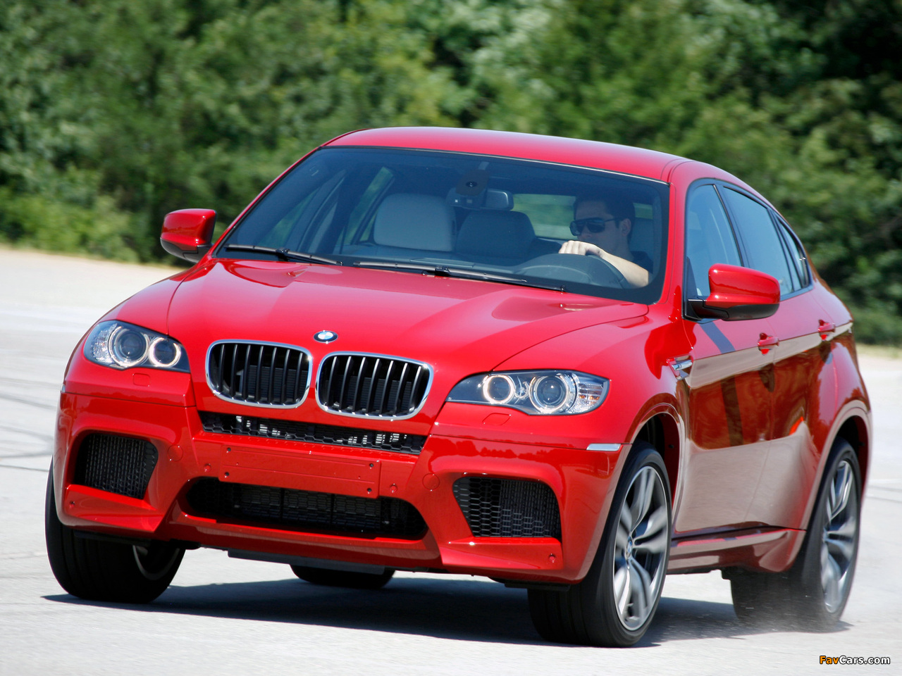 BMW X6 M (E71) 2009 images (1280 x 960)