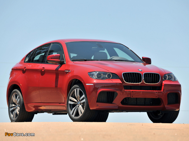 BMW X6 M (E71) 2009 pictures (640 x 480)
