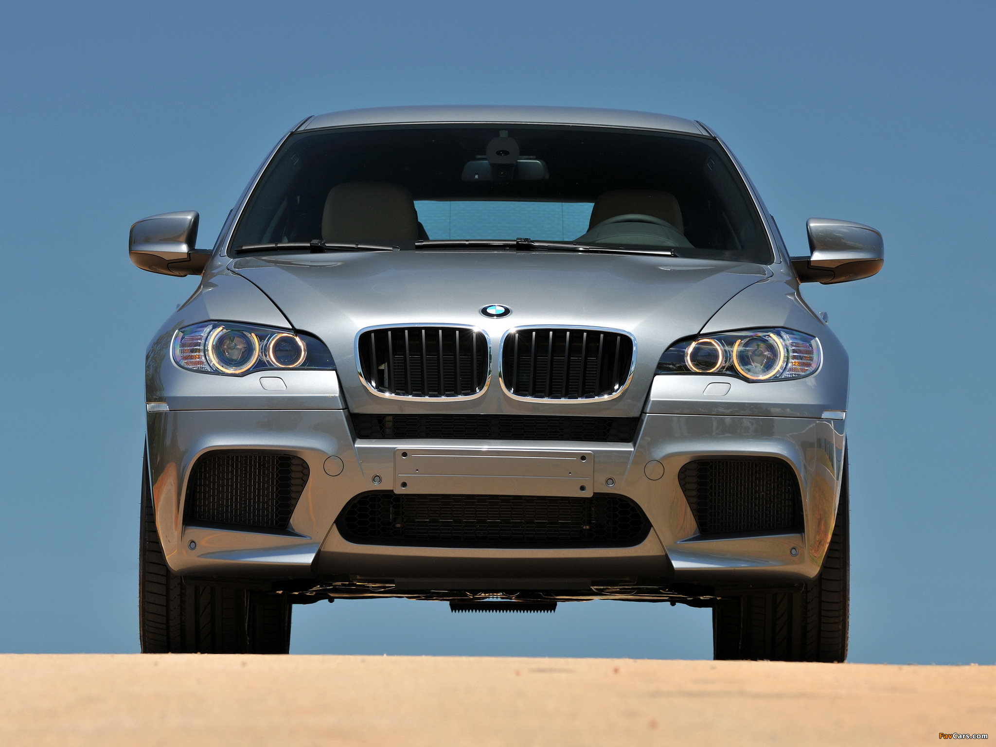 BMW X6 M (E71) 2009 pictures (2048 x 1536)