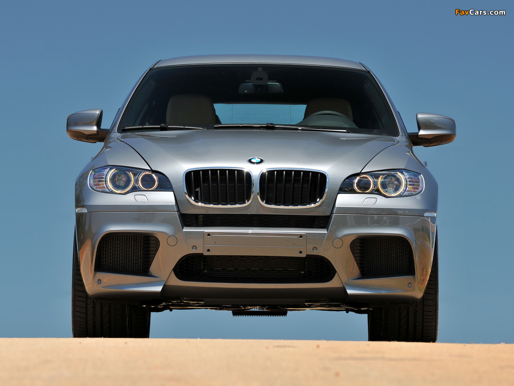 BMW X6 M (E71) 2009 pictures (1024 x 768)