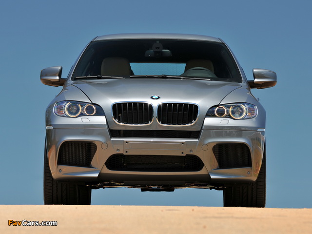 BMW X6 M (E71) 2009 pictures (640 x 480)