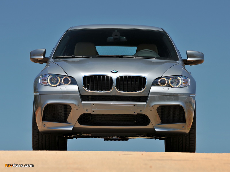 BMW X6 M (E71) 2009 pictures (800 x 600)