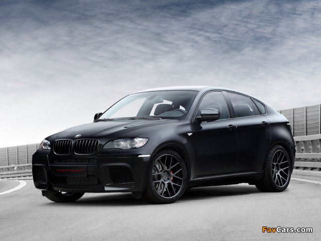 TopCar BMW X6 M (E71) 2010 images (640 x 480)