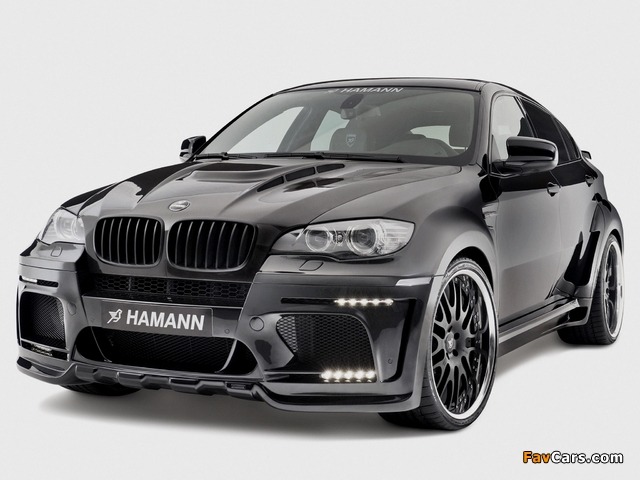 Hamann Tycoon EVO M (E71) 2010 pictures (640 x 480)