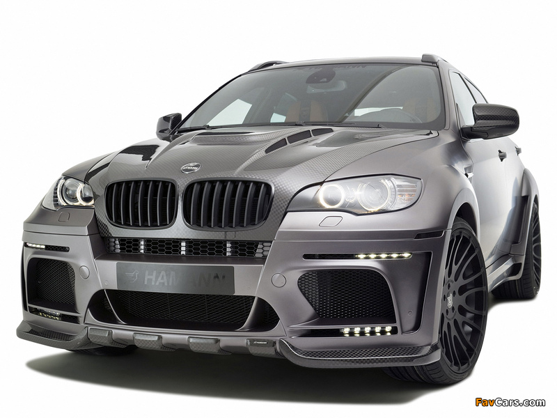 Hamann Tycoon EVO M (E71) 2011 pictures (800 x 600)